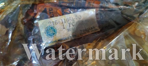 IMG_20230822_191350